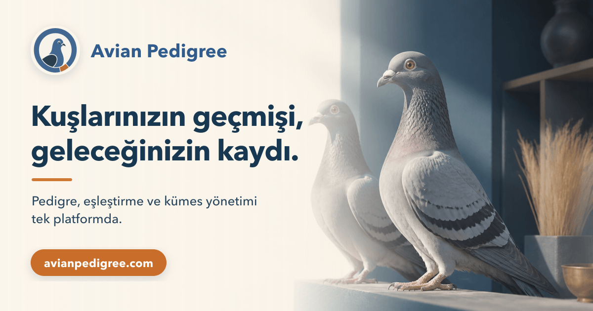 Avian Pedigree logosu ile soy ağacı çizgilerinin yanında iki mavi gri güvercin; Kuşlarınızın geçmişi, geleceğinizin kaydı mesajı.