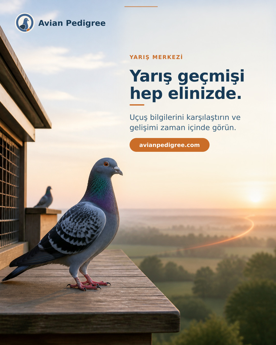 Avian Pedigree sosyal medya görseli: Yarış geçmişi hep elinizde.