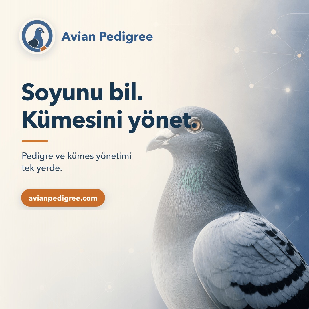 Avian Pedigree logosu, soy ağacı çizgileri ve mavi gri bir güvercin; Soyunu bil, kümesini yönet mesajı.